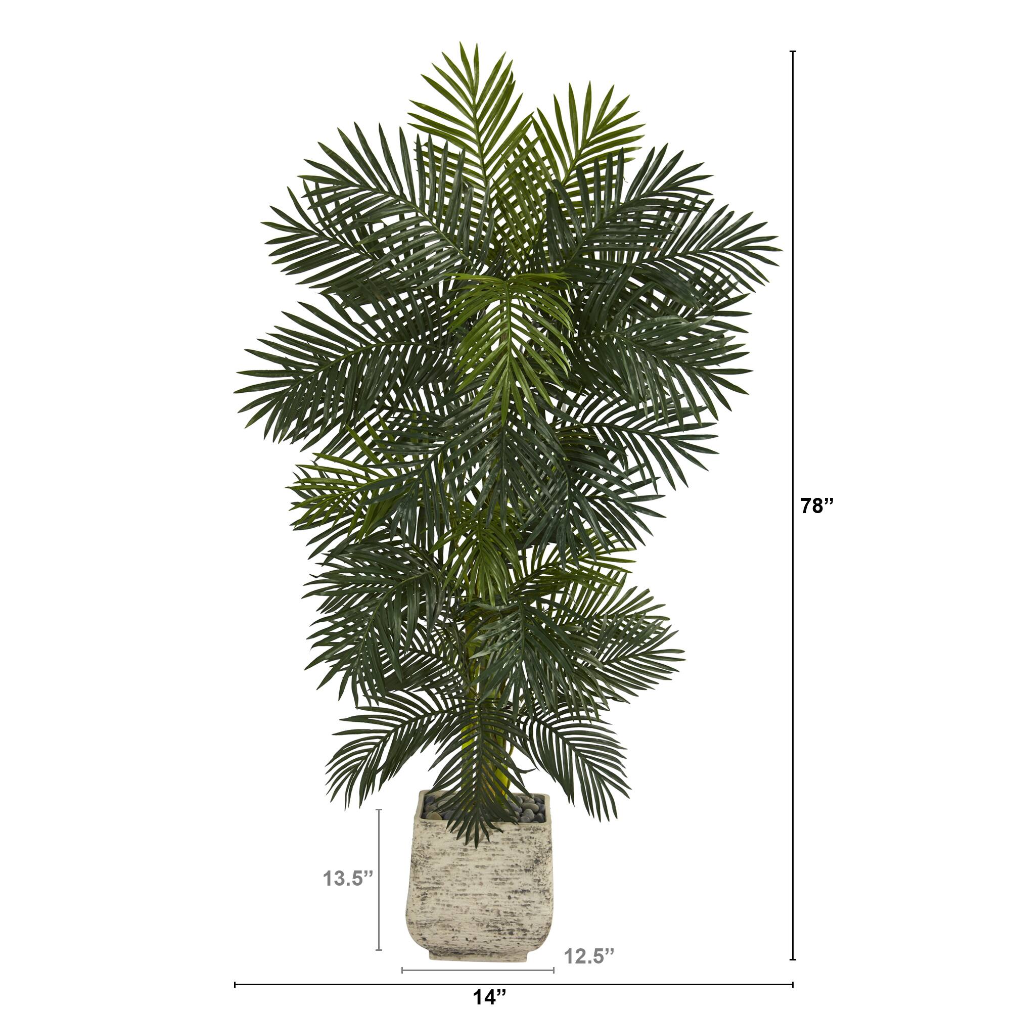 6.5ft. Golden Cane Palm Tree in White Planter